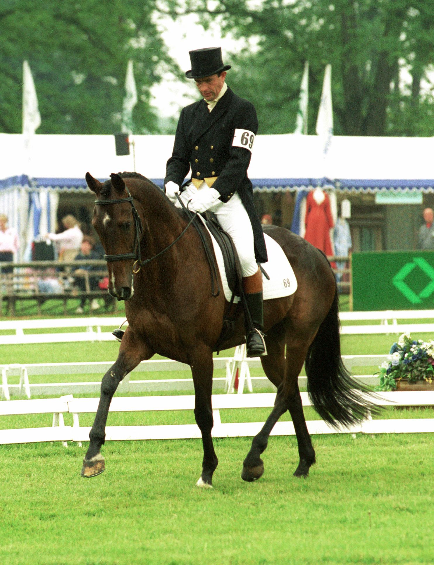 James Robinson - Irish Event Horses