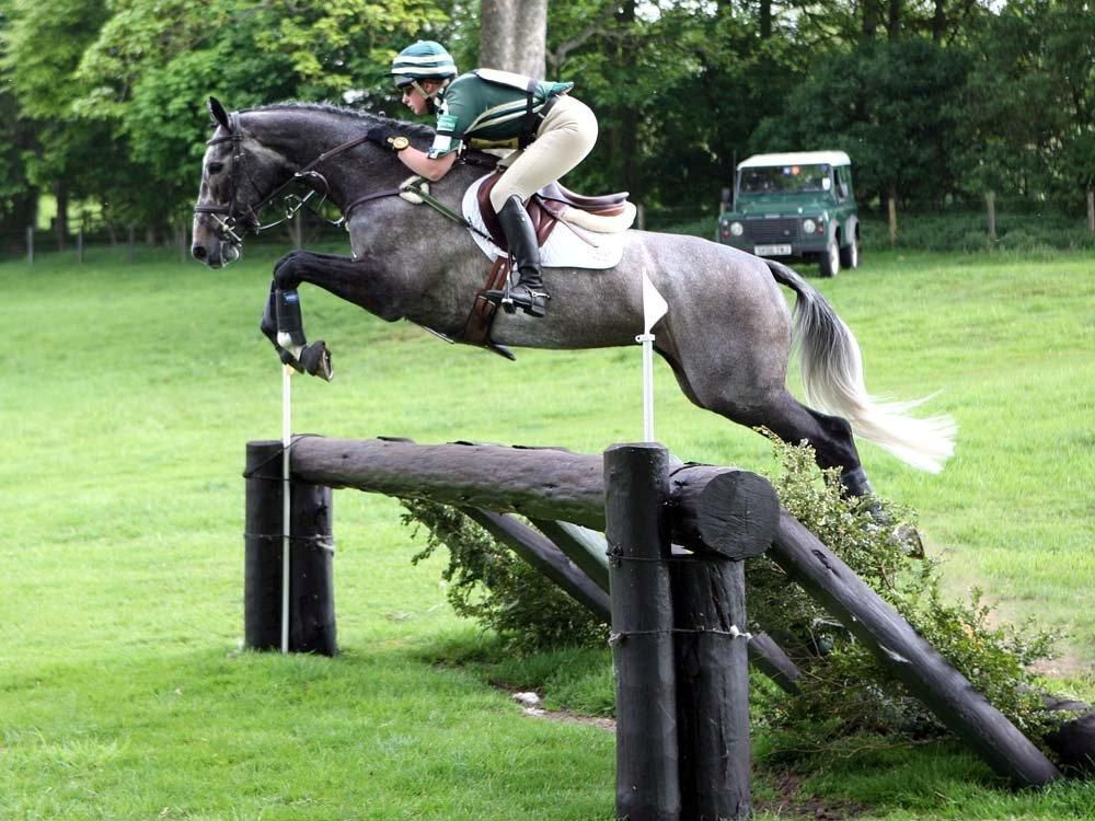 Nicky Roncoroni - Irish Event Horses