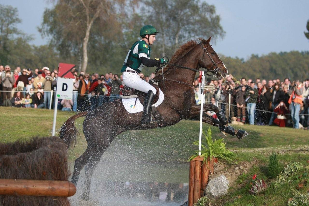 Niall Griffin - Irish Event Horses
