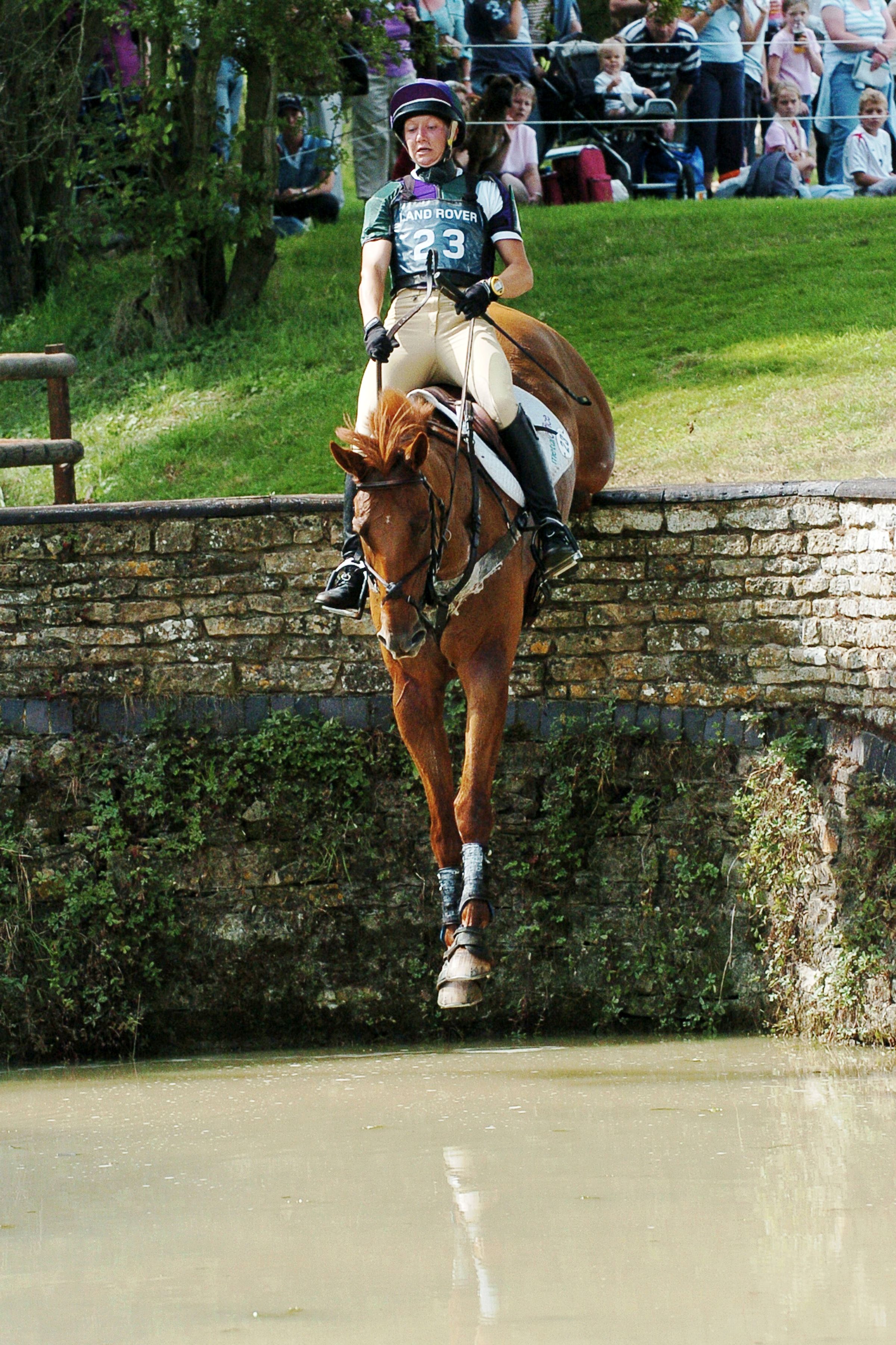 Irish Event Horse